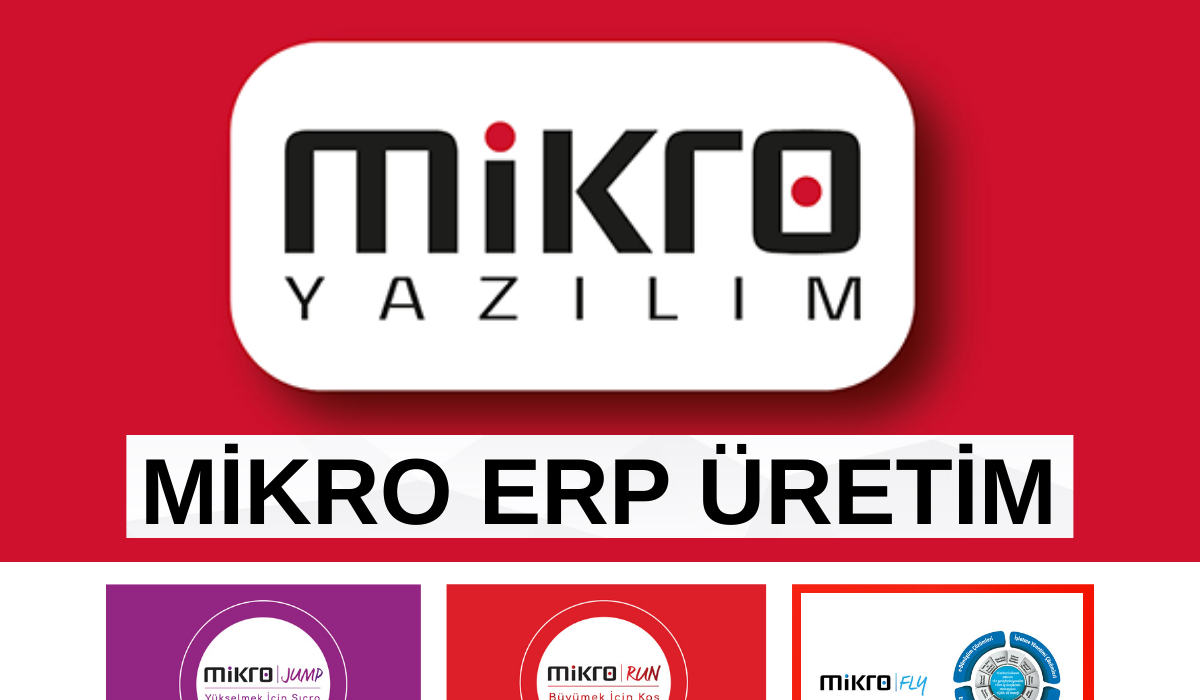 Aydın ERP çözümleri
